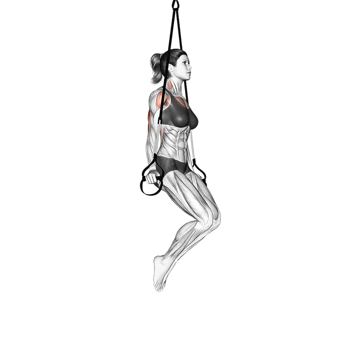 Suspension Triceps Dip exercise animation (Female)