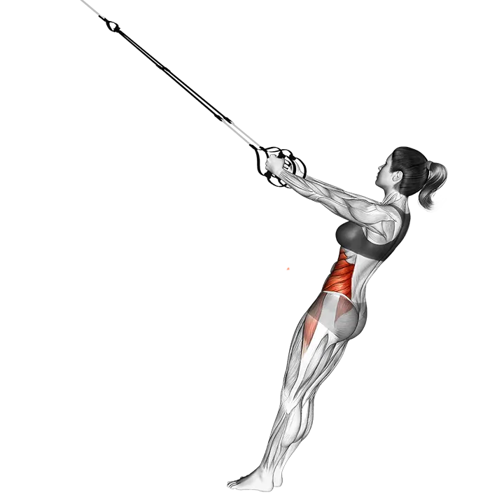 Suspension Twist exercise animation (Female)