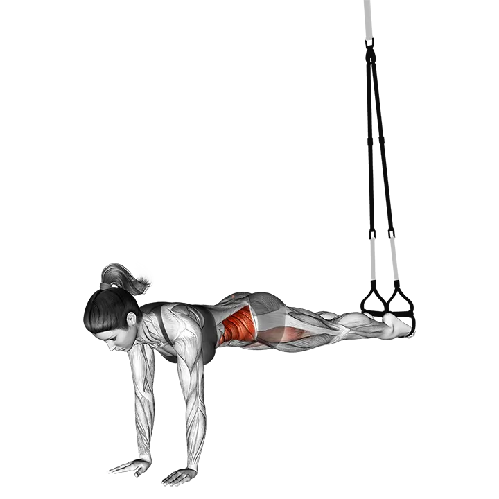 Suspension Twisting Jack knife exercise animation (Weiblich)