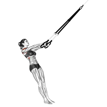 Suspension Y Lateral Raise