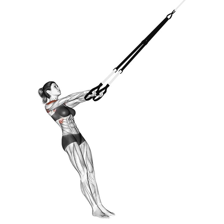 Suspension Y Lateral Raise exercise animation (Female)