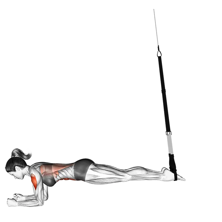Suspension Body Saw exercise animation (Female)