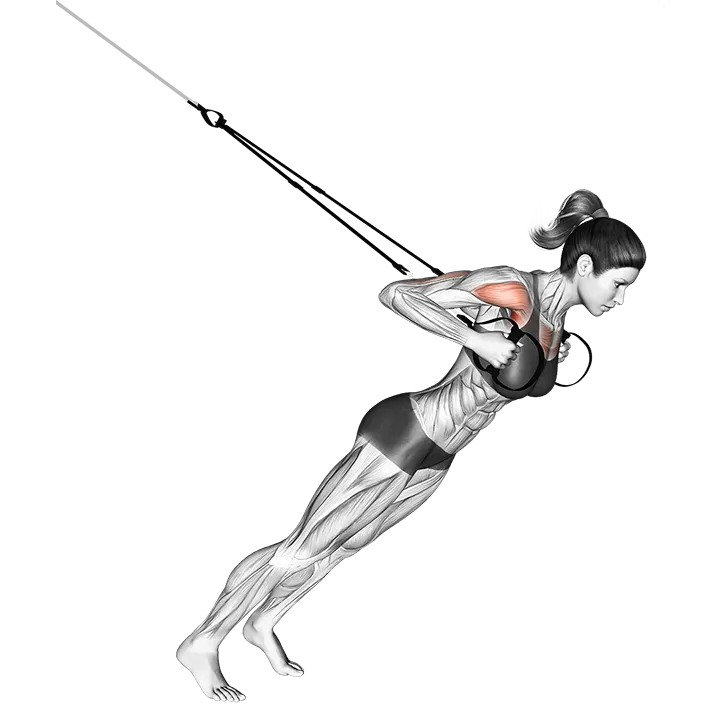 Suspension Close-grip Chest Press exercise animation (Female)