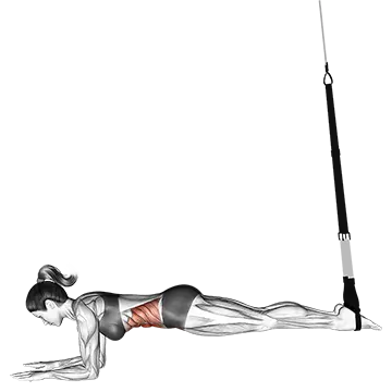 Suspension Crunch