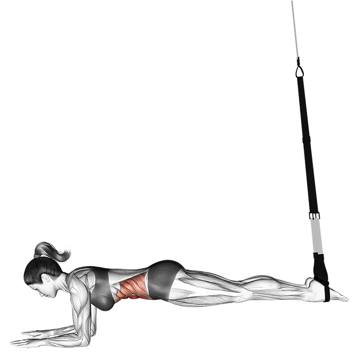 Suspension Crunch exercise animation (Female)