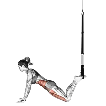 Suspension Front Plank