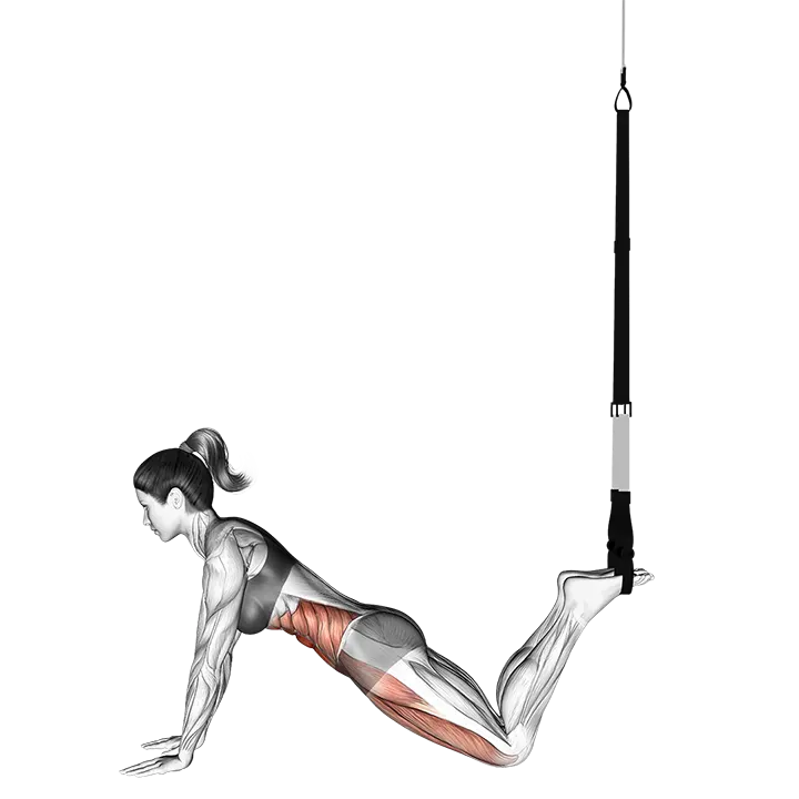 Suspension Front Plank exercise animation (Female)