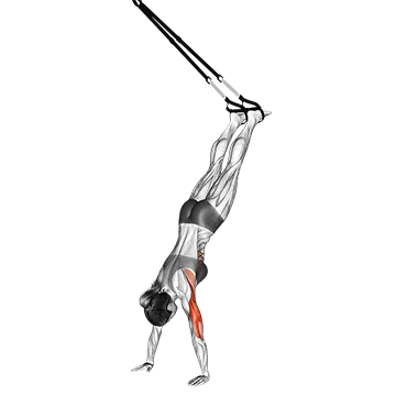 Suspension Handstand Push-up