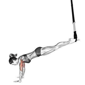 Suspension Incline Push-up