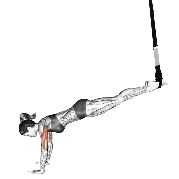 Suspension Incline Push-up exercise animation (Female)
