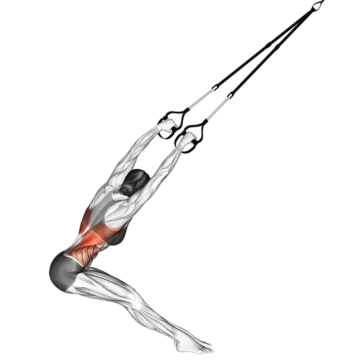Suspension Lat Stretch exercise animation (Female)