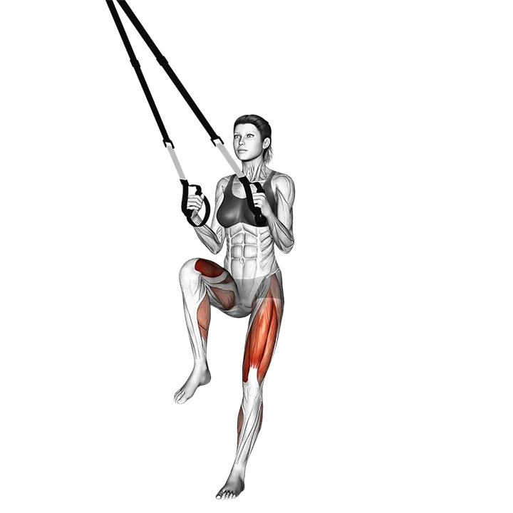 Suspension Lunge Back Crossover exercise animation (Female)