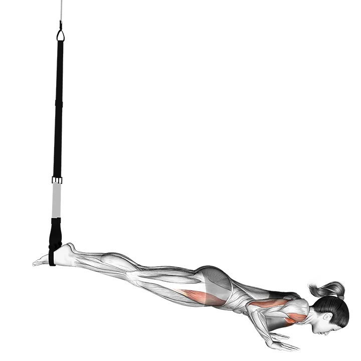 Suspension Mountain Climber Push-up exercise animation (Weiblich)