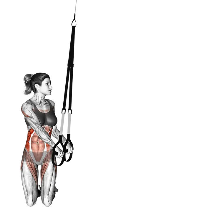 Suspension Oblique Rollout exercise animation (Mujer)