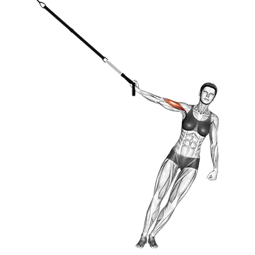 Suspension One Arm Biceps Curl