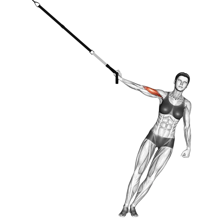 Suspension One Arm Biceps Curl exercise animation (Female)