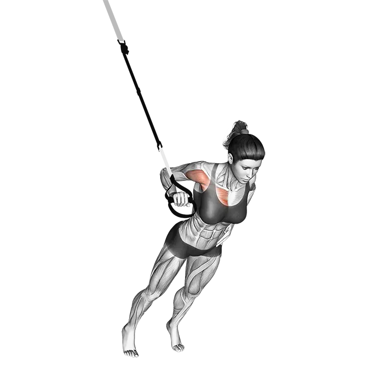 Suspension One Arm Chest Press exercise animation (Female)