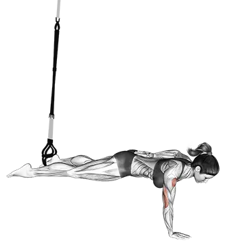 Suspension One Arm Leg Push-up