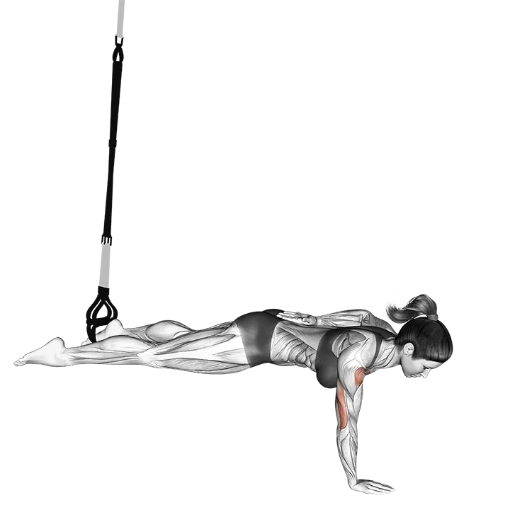 Suspension One Arm Leg Push-up exercise animation (Female)