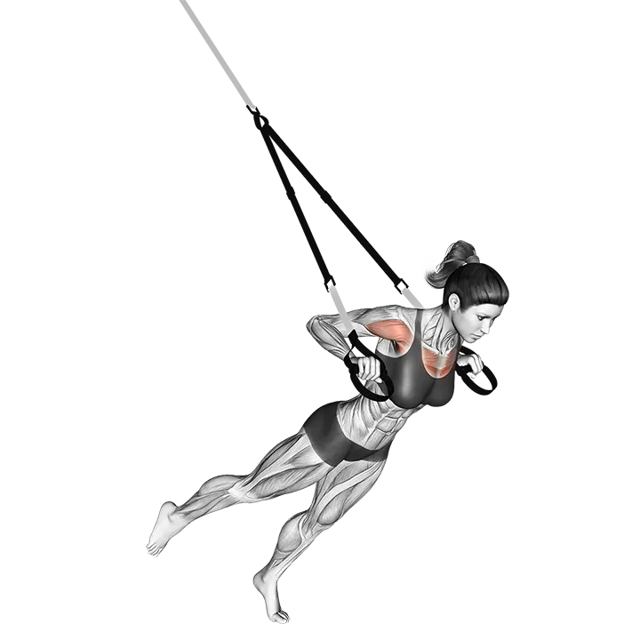 Suspension One Leg Chest Press exercise animation (Female)