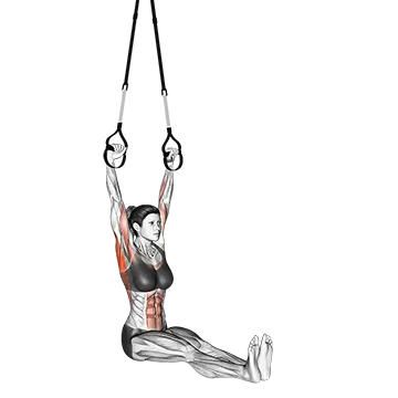 Suspension Pull-up (version 2)