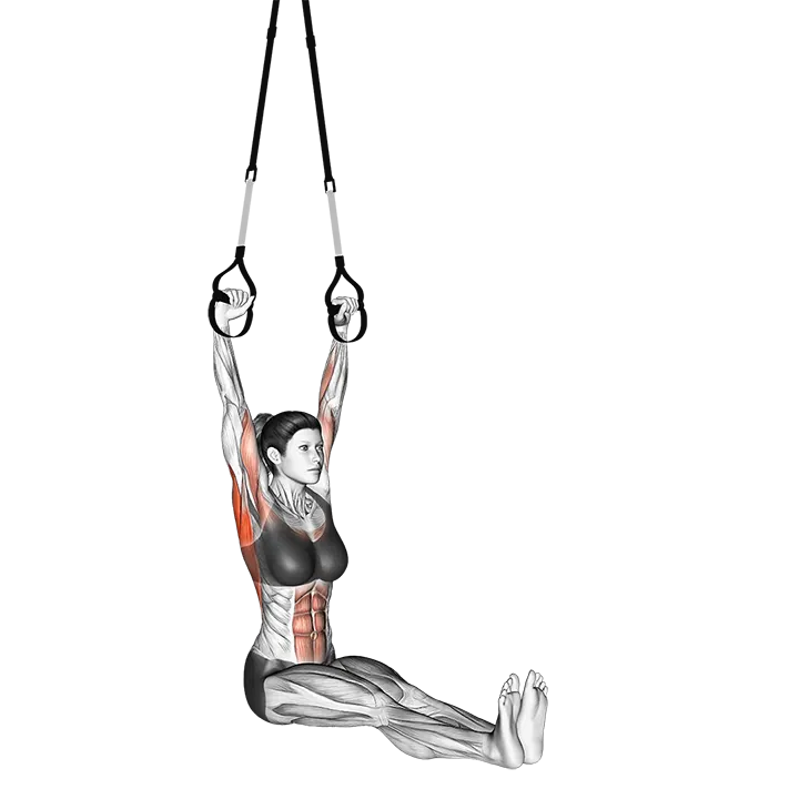 Suspension Pull-up (version 2) exercise animation (Female)