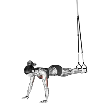 Suspension Push-up