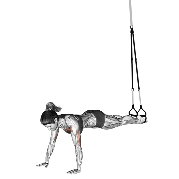 Suspension Push-up exercise animation (Female)