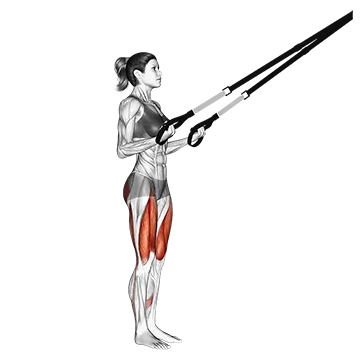 Suspension Rear Lunge