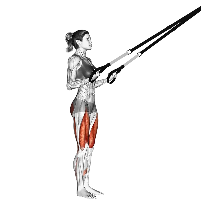 Suspension Rear Lunge exercise animation (Female)