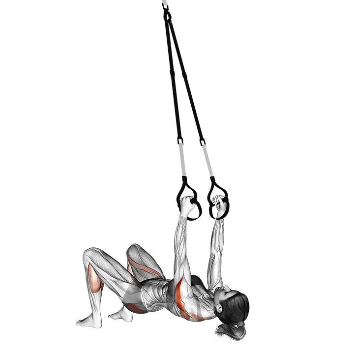 Suspension Reverse Fly Wake-up exercise animation (Female)