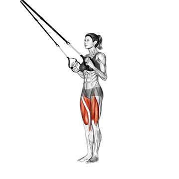 Suspension Side Lunge