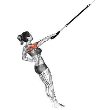 Suspension Single Arm Rear Delt Row