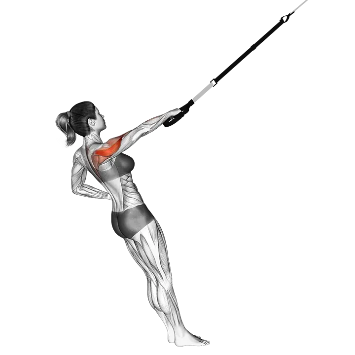 Suspension Single Arm Rear Delt Row exercise animation (Female)