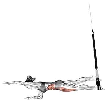 Suspension Single Leg Plank (straight arm)
