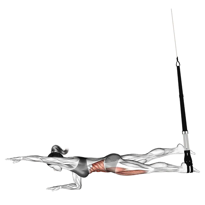 Suspension Single Leg Plank (straight arm) exercise animation (Female)