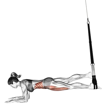 Suspension Single Leg Plank