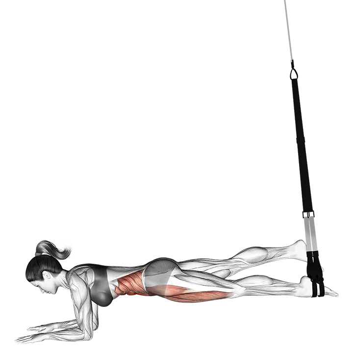 Suspension Single Leg Plank exercise animation (Female)