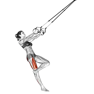 Suspension Single Leg Squat (figure)
