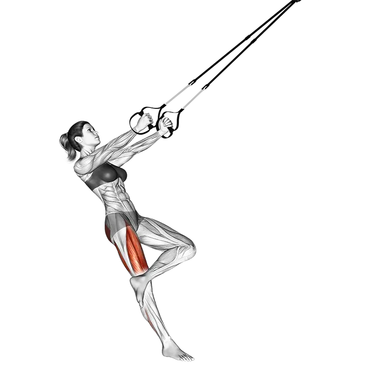 Suspension Single Leg Squat (figure) exercise animation (Female)