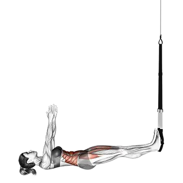 Suspension Sit-up