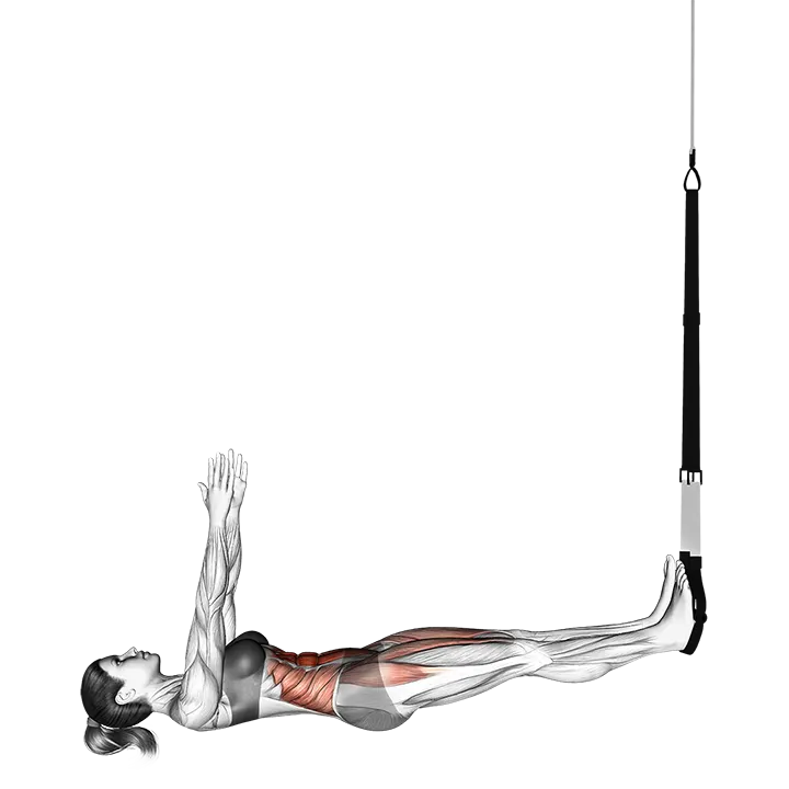 Suspension Sit-up exercise animation (Weiblich)