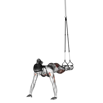Suspension Spiderman Push-up