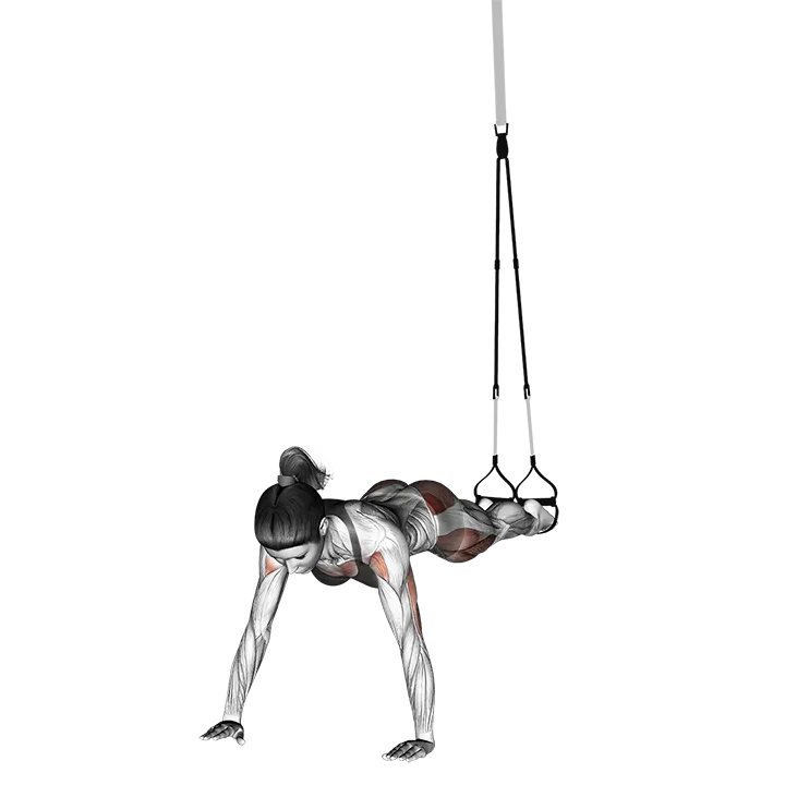Suspension Spiderman Push-up exercise animation (Female)