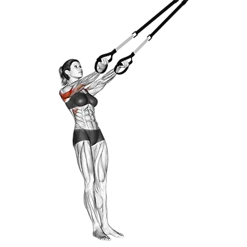 Suspension Split Fly
