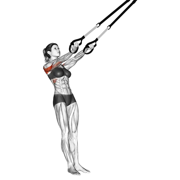 Suspension Split Fly exercise animation (Female)