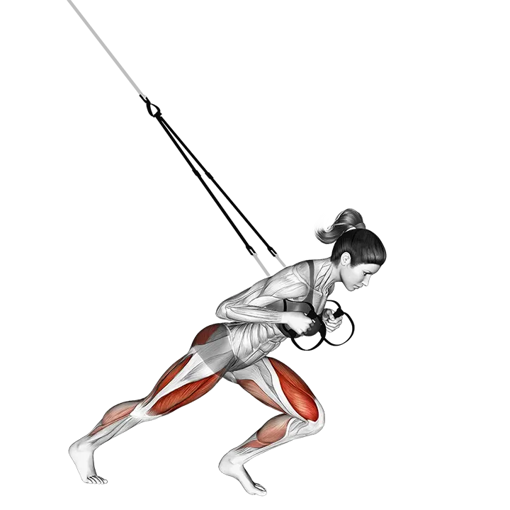 Suspension Sprinter exercise animation (Female)