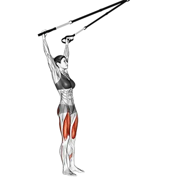 Suspension Squat (Arms Overhead)