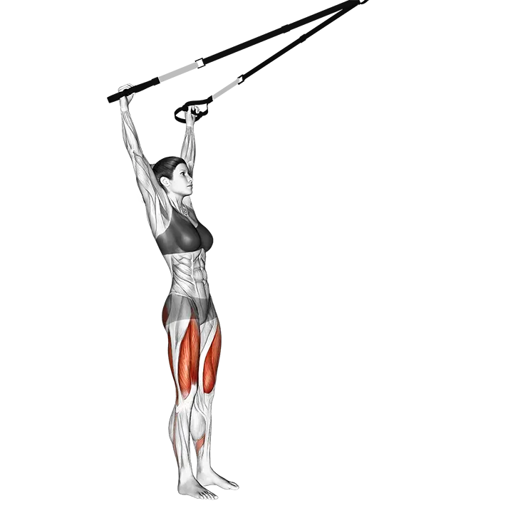 Suspension Squat (Arms Overhead) exercise animation (Female)