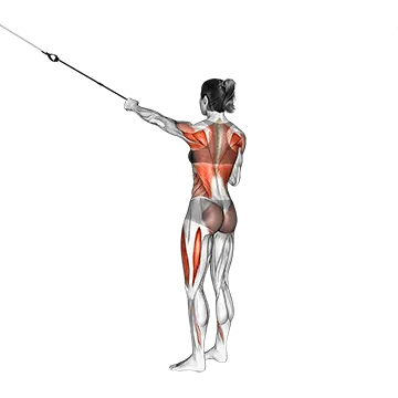 Suspension Squat Power Pull